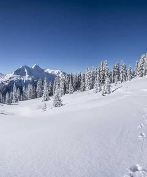 Station de ski Chamonix Mont Blanc